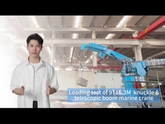 효율적인 화물 처리를 위한 9T16.3M 선박 보드 크레인